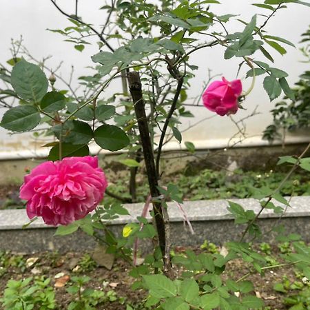 Nhat Long Homestay 후에 외부 사진