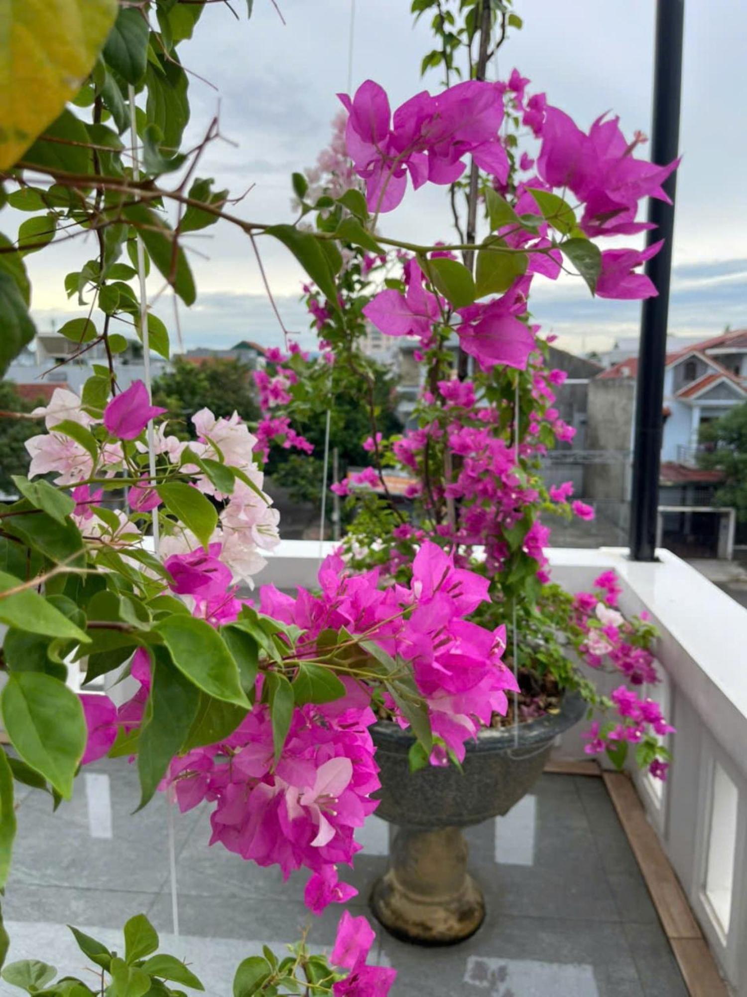 Nhat Long Homestay 후에 외부 사진